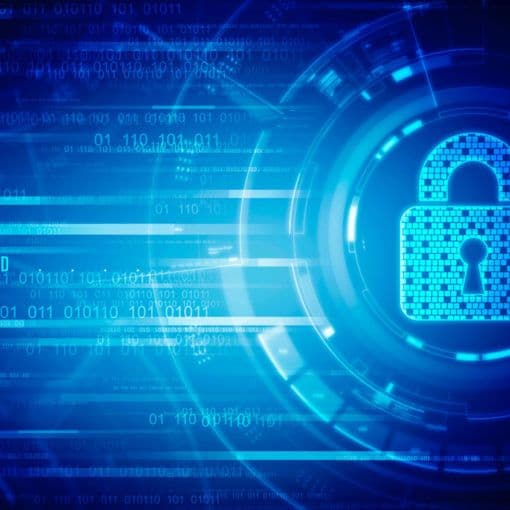 What are computer viruses?